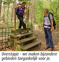 overstapje met capturetekst