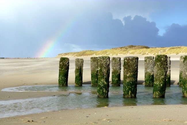 regenboog rocanje