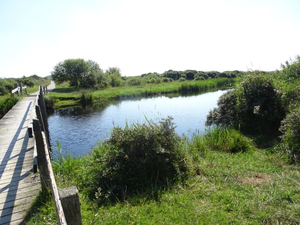 Wandel- en fietsbrug over kreek Schiermonnikoog