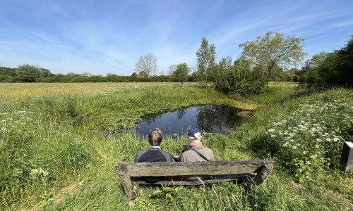 9. Vortumsche Bergen.JPG