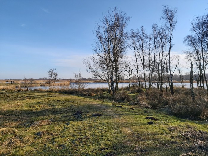 Grasland en bomen in Natura 2000 gebied 2 © Breg Schoen