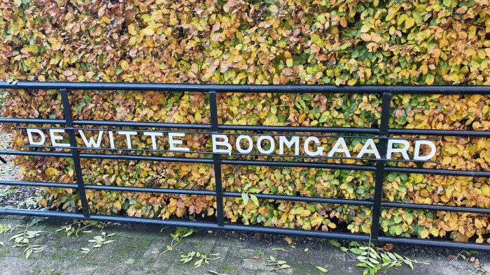 Betuwepad-Witte-Boomgaard