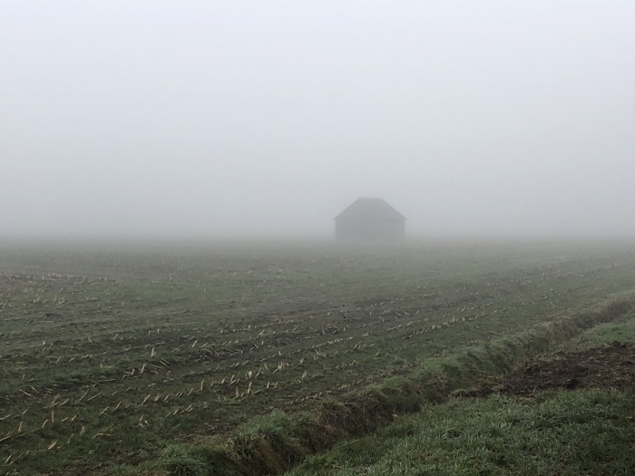 mist brabant