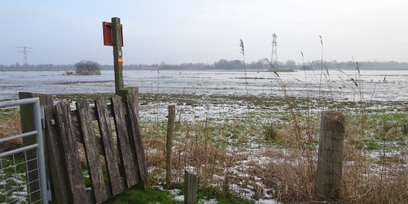 Noardlike Fryske Walden winter.JPG