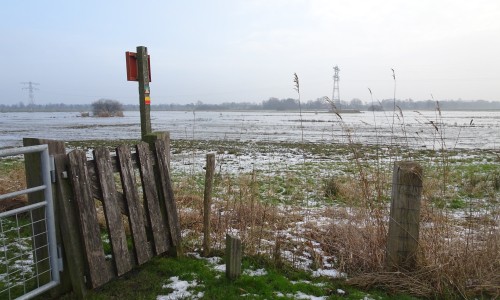 Noardlike Fryske Walden winter.JPG