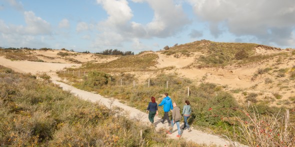 Duinen ten zuiden van Katwijk aan Zee-13.jpg
